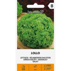 Lehtsalat Lollo (Bionda)