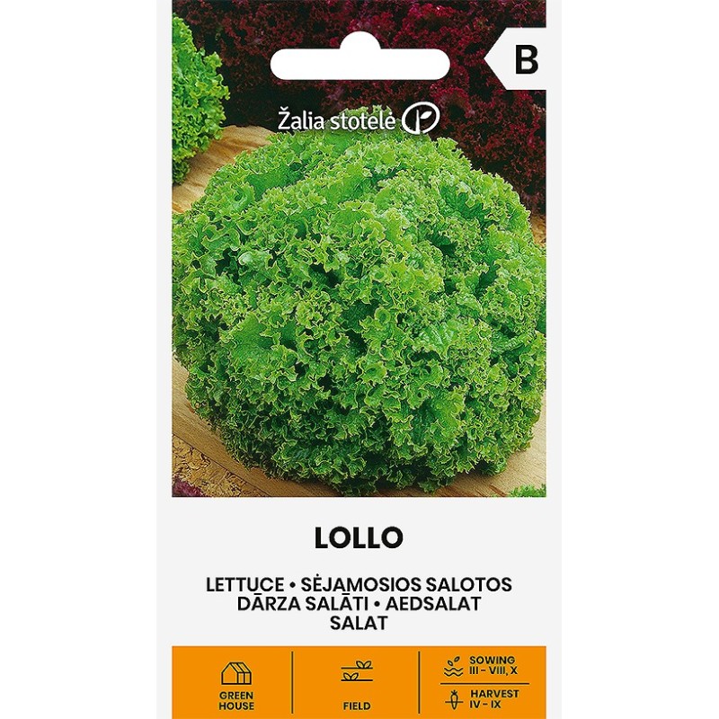 Lehtsalat Lollo (Bionda)