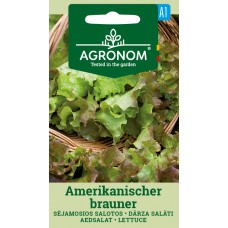 Lehtsalat Amerikanischer Brauner