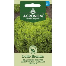 Lollo Bionda salat