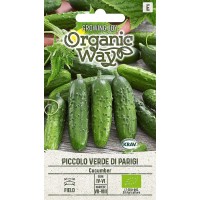 Kurk Piccolo Verde Di Parigi