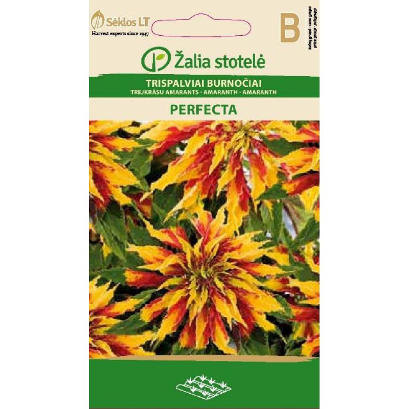 Kolmevärviline rebashein Perfecta