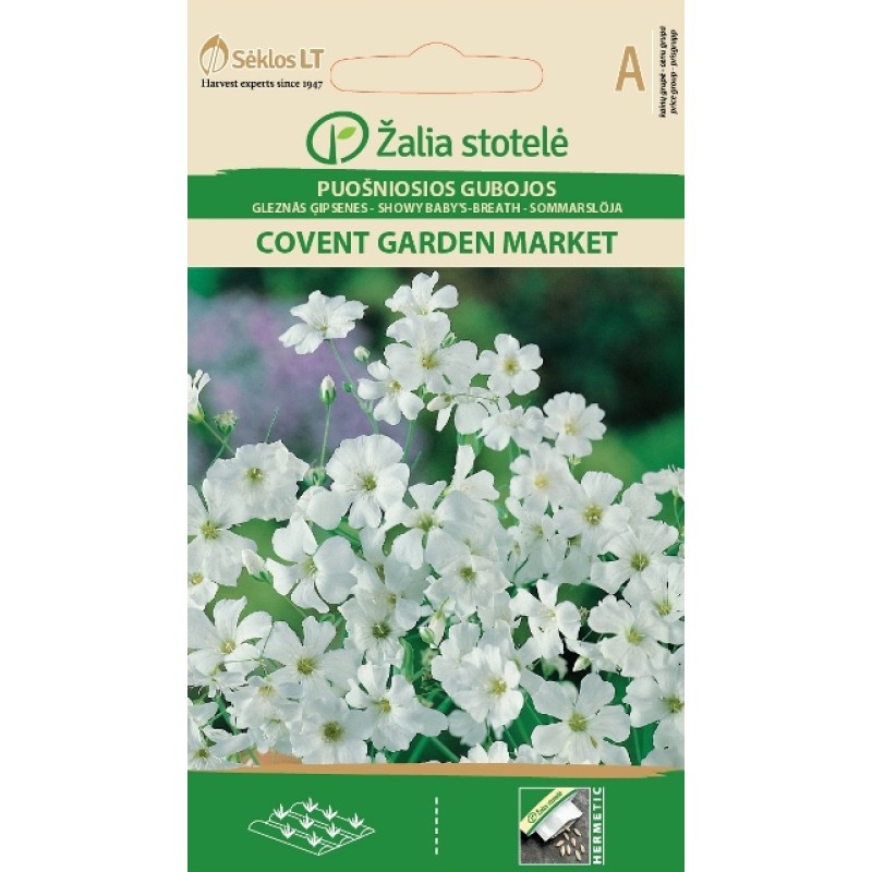 Kaunis kipslill Covent Garden Market (Zalia Stotole)