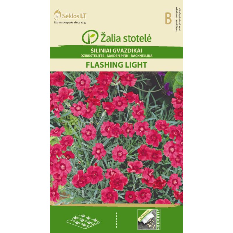 Nurmnelk Flashing Light