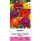 Zinnia Diablo