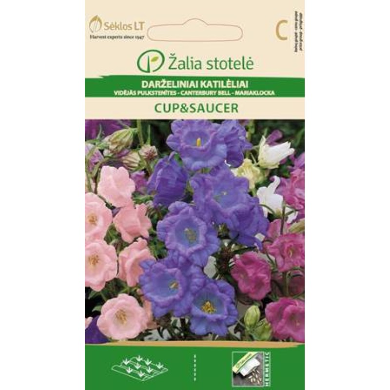 Canterbury kellad Cup&Saucer