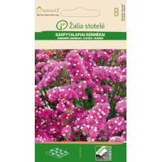 Kääruline Parkjuur roosa