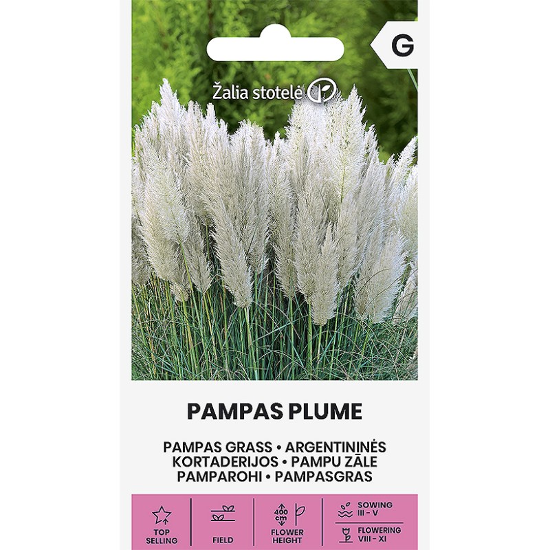 Pamparohi Pampas Plume valge