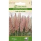 Pamparohi Pampas Plume roosa