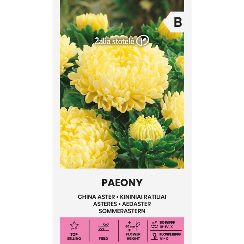 Aedaster Paeony