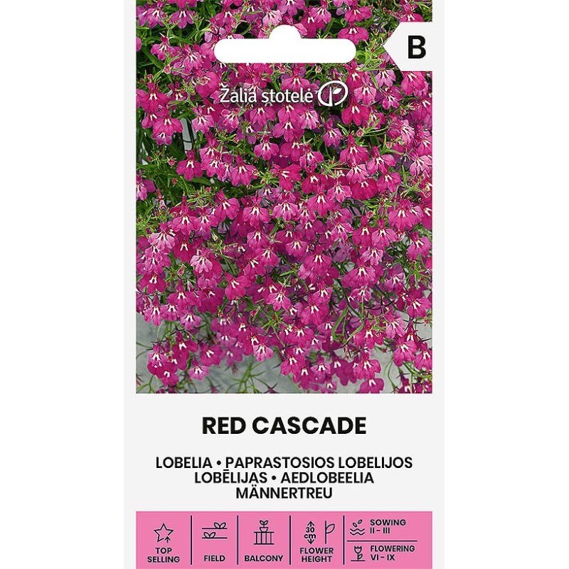 Aedlobeelia Red Cascade