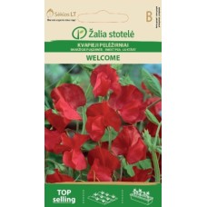 Горошек Welcome (Zalia Stotole)