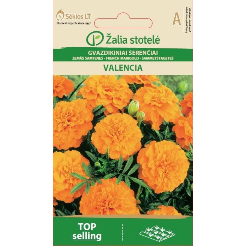 Madal peiulill Valencia