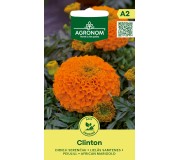 Французский бархатец