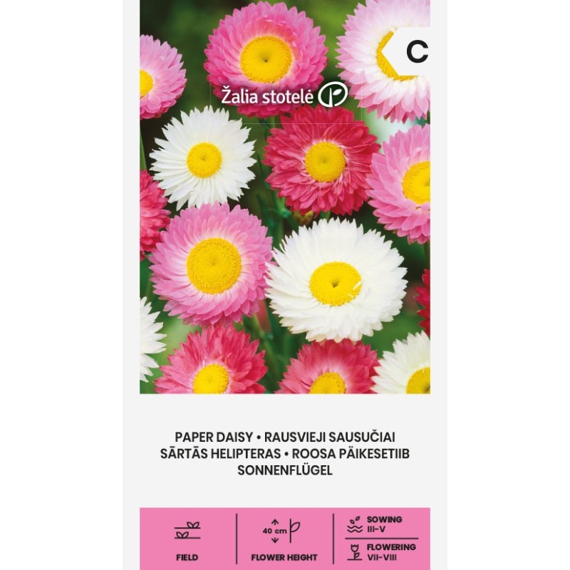 Paber daisy