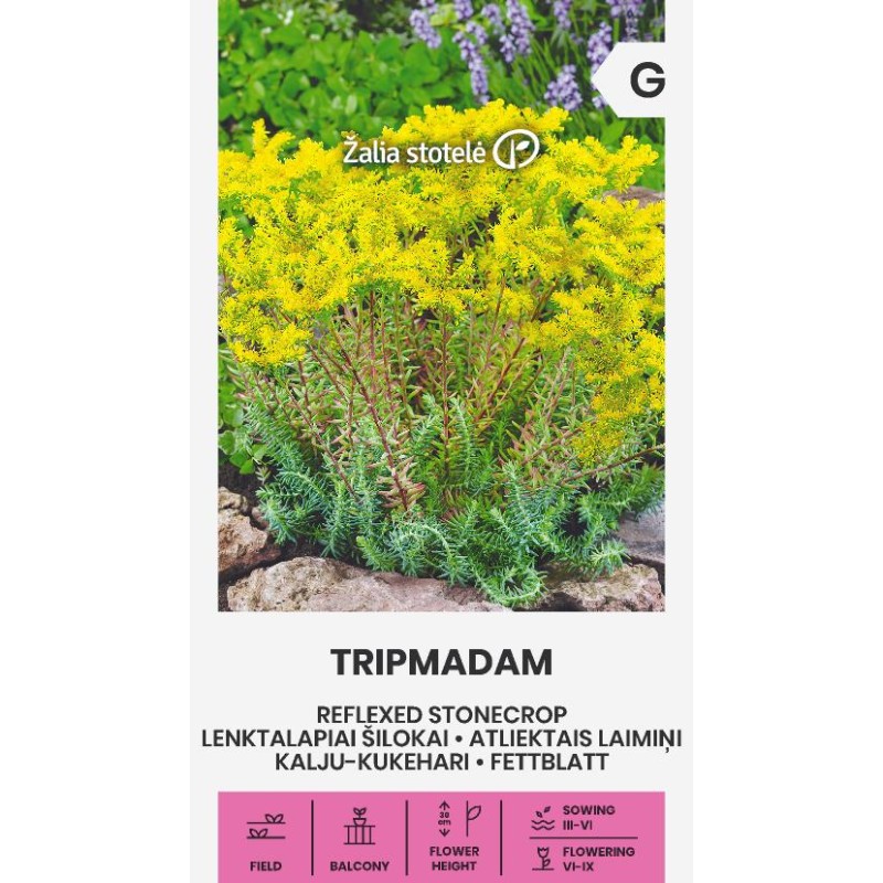 Laineline kivimoodustis Tripmadam