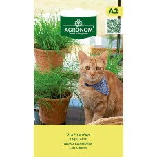 Muru kassidele Cat Grass