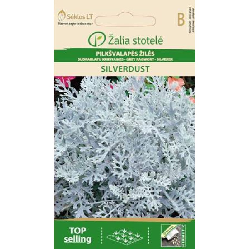 Vilt-ristirohi Silverdust