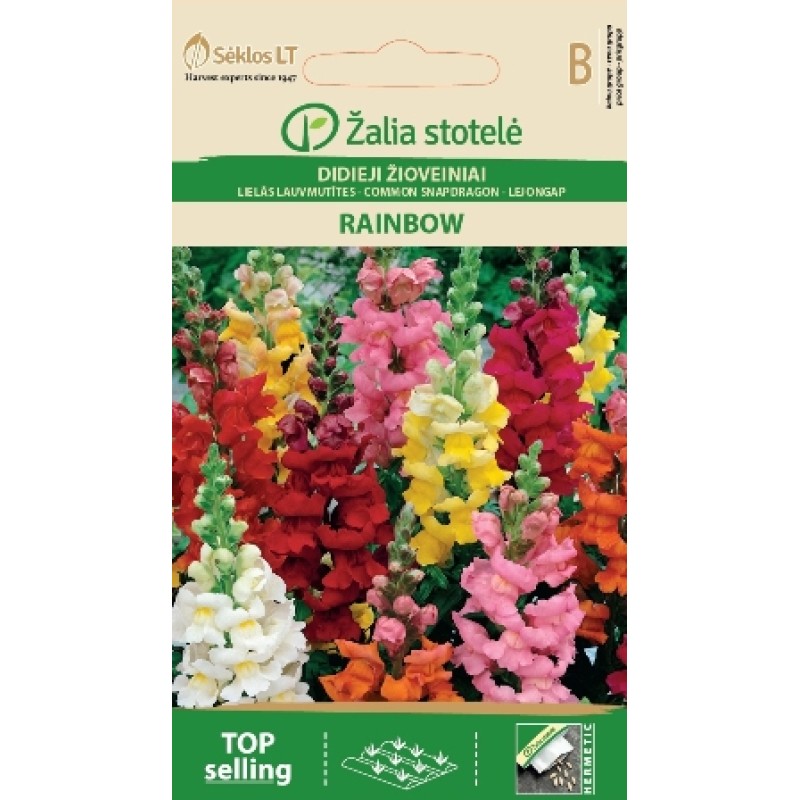 Vikerkaare lõvilõug