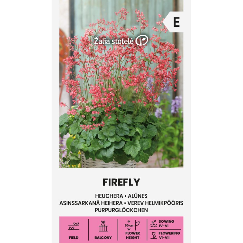 Heuchera Firefly