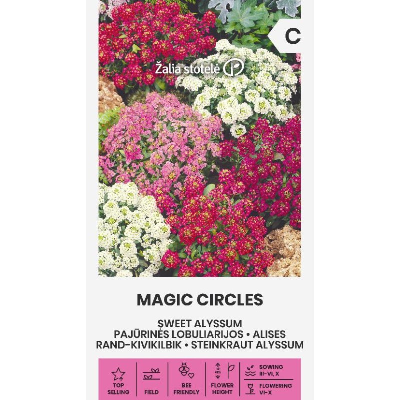 Magilised ringid (Alyssum)