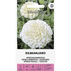 Бархатцы Kilimanjaro