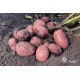 Alouette seemnepotato 2kg