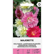 Гибискус Мажоретт