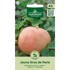 Kõrvits Jaune Gros De Paris