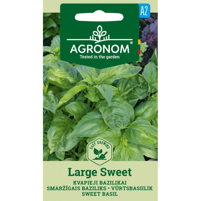 Basiilik Large Sweet