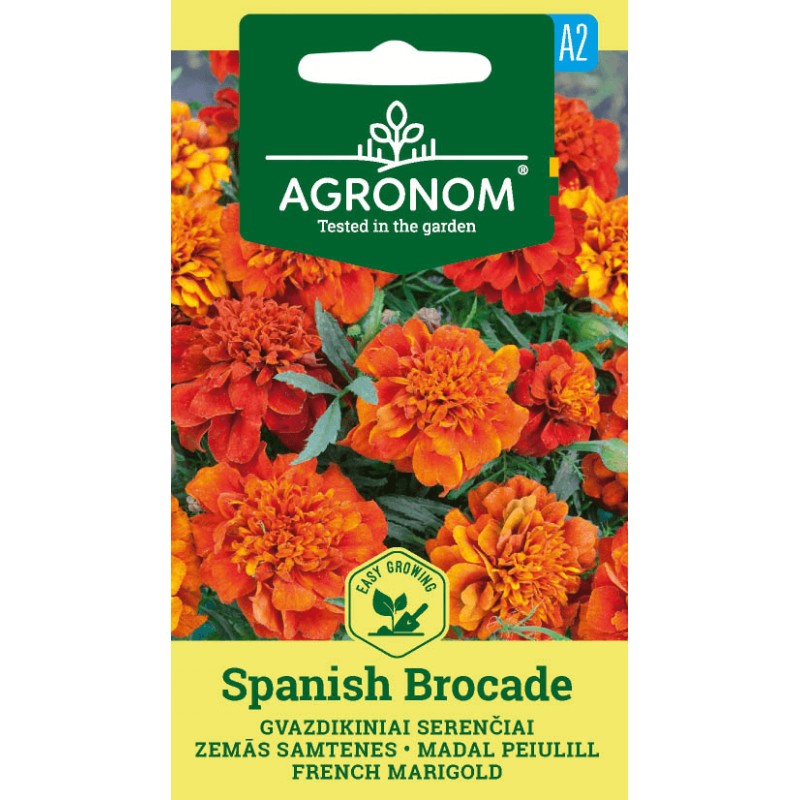 Madal peiulill Spanish Brocade