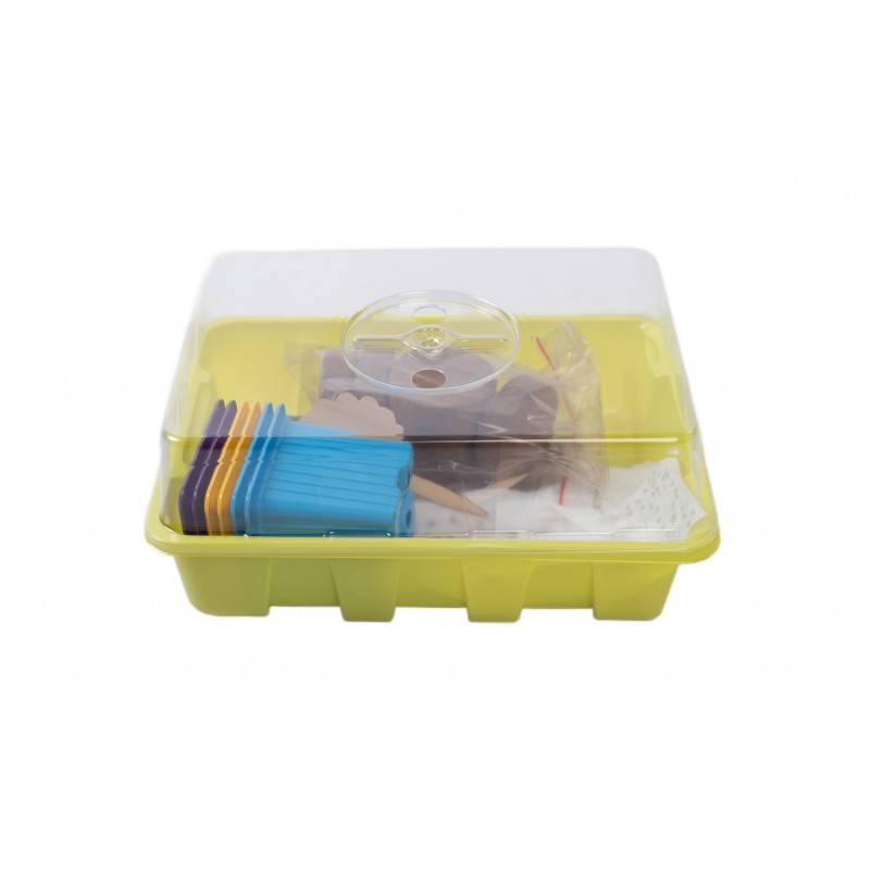 MEGA kasvatuskomplekt Nelly Jelly Gardenland