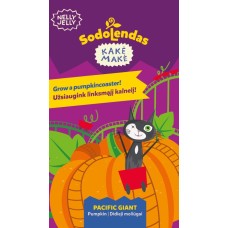 Kõrvits Pacific Giant - Nelly Jelly