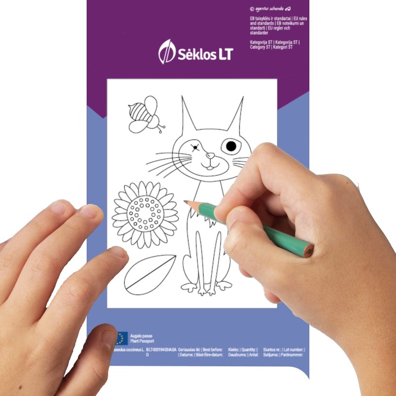 Õisuba Painted Lady - Nelly Jelly