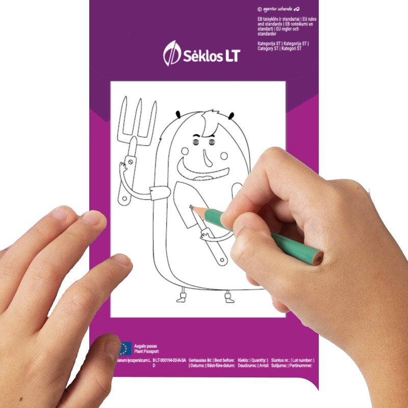 Tomat Tiny Tim - Nelly Jelly