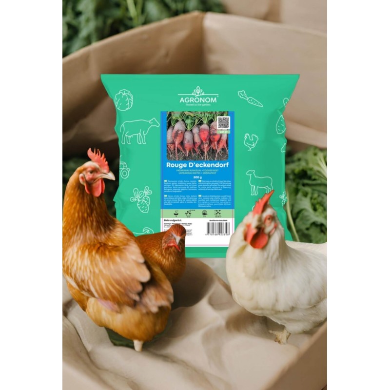Fodder Beet Rouge D'Eckendorf 0,3 kg