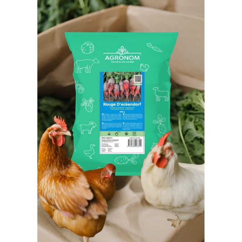Fodder Beet Rouge D'Eckendorf 0,5 Kg