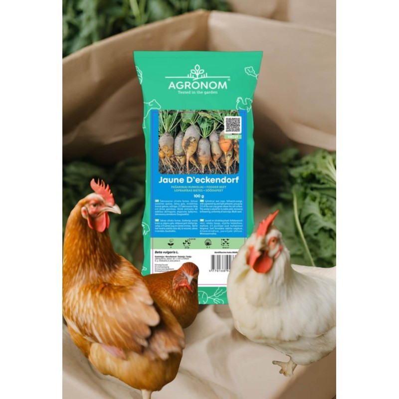 Fodder Beet Jaune D'Eckendorf 0,1 kg