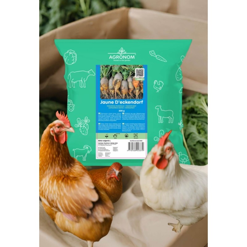 Fodder beet Jaune D'Eckendorf 0,3 kg