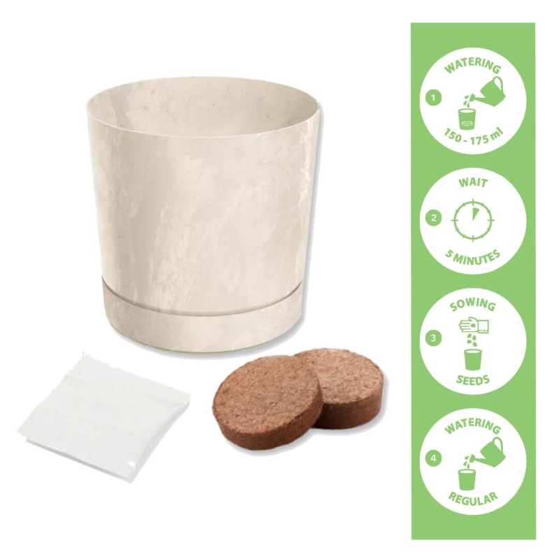 De Cayenne pipra kasvatamise komplekt