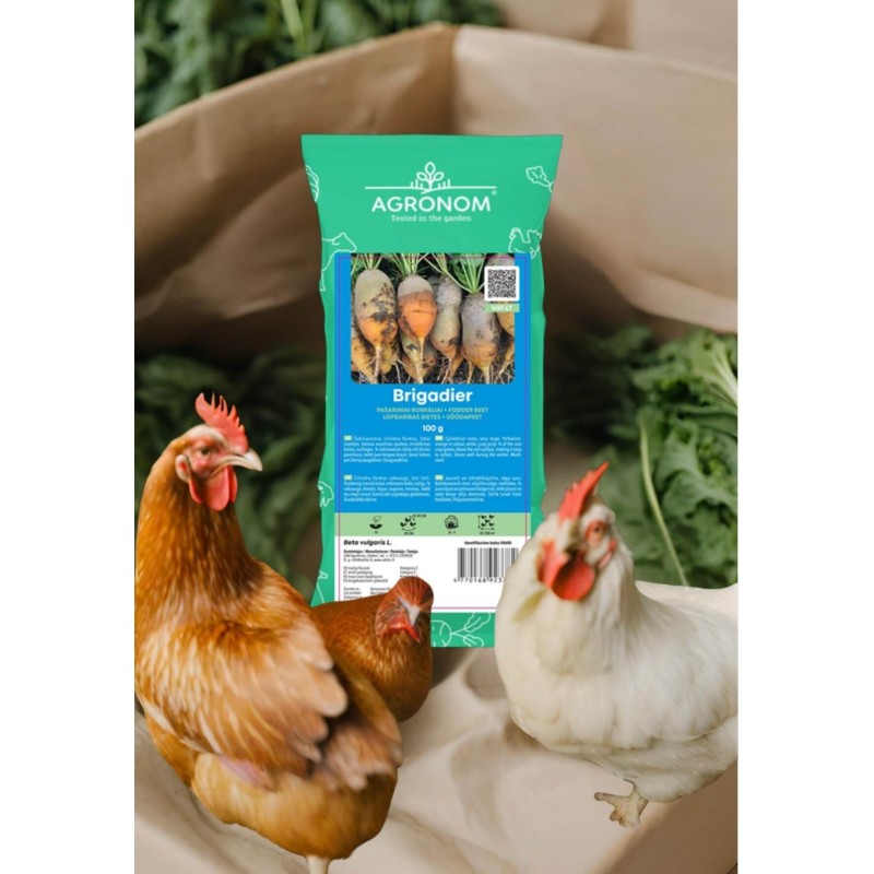 Söödabeet Brigadier 0,1 kg