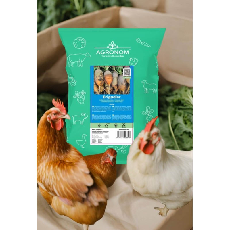 Fodder beet Brigadier 0,5 kg