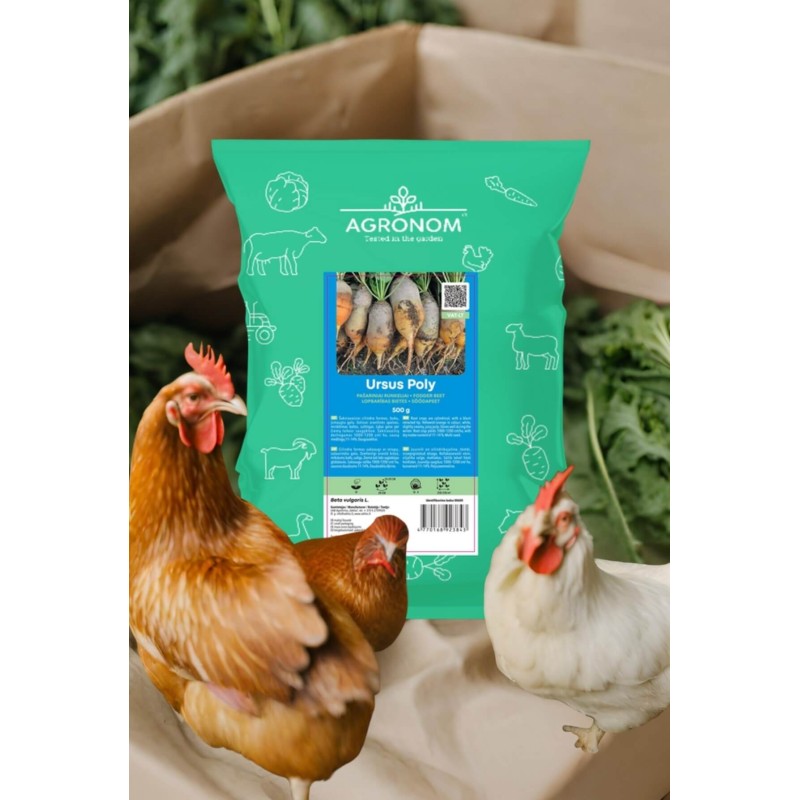 Fodder Beet Ursus Poly 0,5 Kg