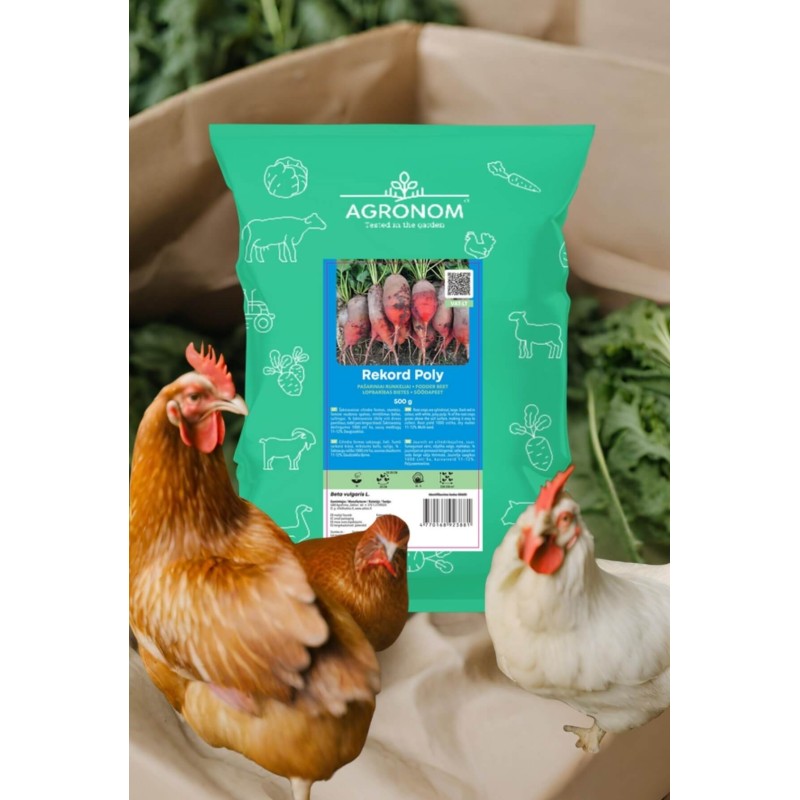 Семена кормовой свеклы Рекорд Поля 0,5 кг