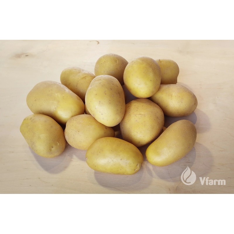 Emanuelle kartuliseemned 5kg