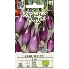 Лук Rossa Di Firenze