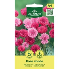 Rukkilill Rose Shade (Agronom)