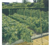 Aia fliisid ja võrgud