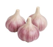 Garlic seedlings