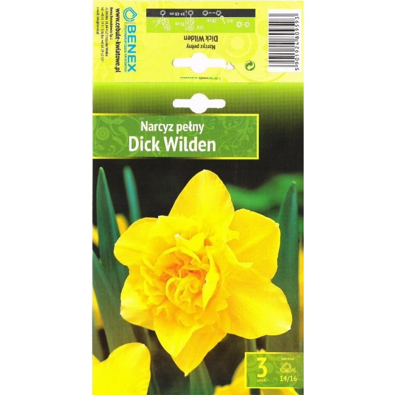Nartsiss Dick Wilden